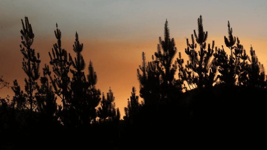 Chile mantiene alertas rojas en nueve comunas por incendios forestales