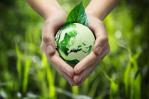 Activistas denuncian la lenta marcha de las negociaciones sobre biodiversidad Activistas denuncian la lenta marcha de las negociaciones sobre biodiversidad