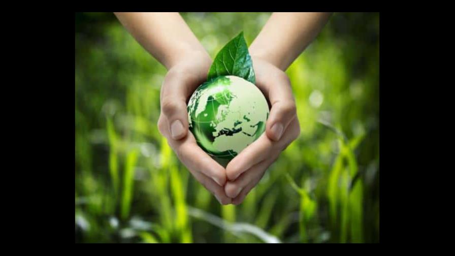 Activistas denuncian la lenta marcha de las negociaciones sobre biodiversidad