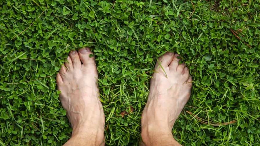 Earthing: la particular técnica de relajación de Luis Enrique