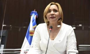 Diputada del PRM pide a Paliza disculparse con el país por candidatos vinculados al narco