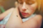 Repelentes caseros para ahuyentar mosquitos Repelentes caseros para ahuyentar mosquitos