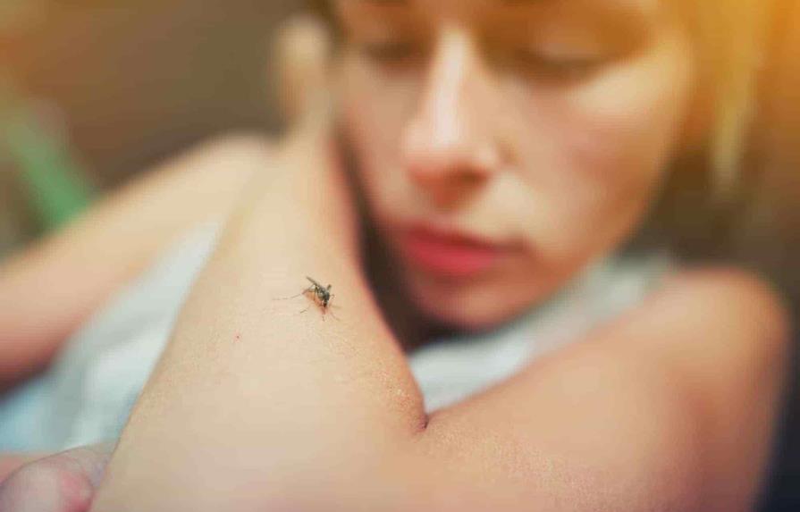 Repelentes caseros para ahuyentar mosquitos