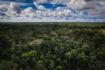 La COP15, aún sin acuerdo para salvar la biodiversidad La COP15, aún sin acuerdo para salvar la biodiversidad