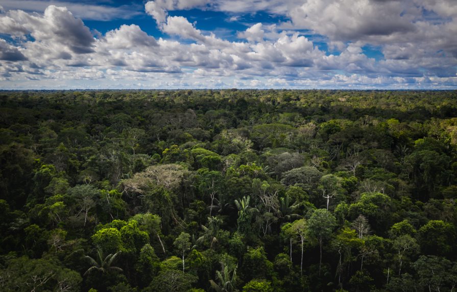 La COP15, aún sin acuerdo para salvar la biodiversidad