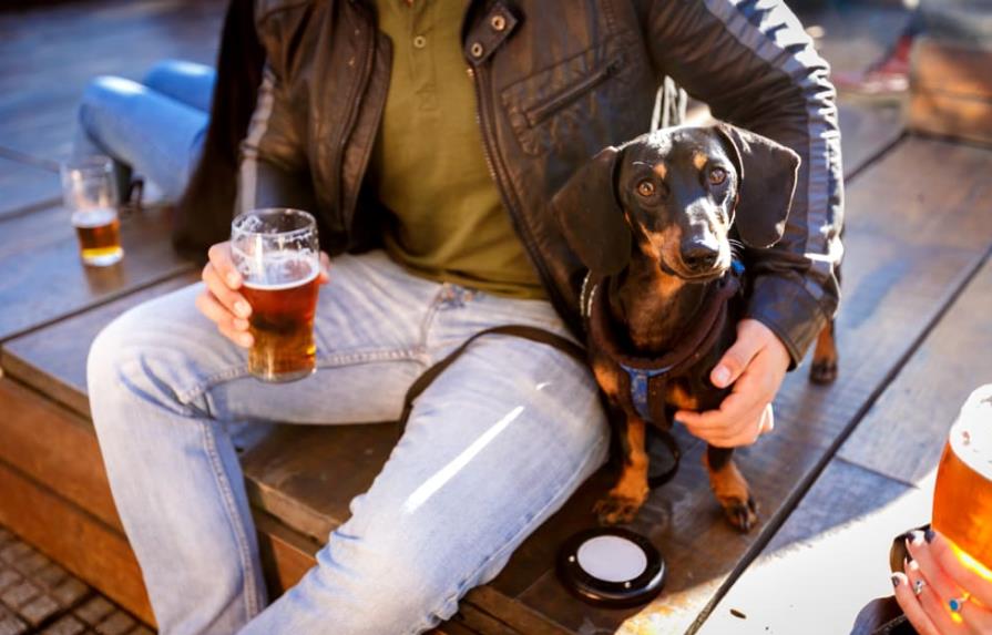 Lanzan una cerveza ¡sólo para perros!