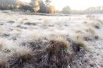 Nueva vez se registran temperaturas bajo cero en Valle Nuevo Nueva vez se registran temperaturas bajo cero en Valle Nuevo