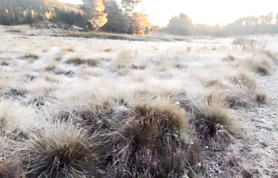 Nueva vez se registran temperaturas bajo cero en Valle Nuevo