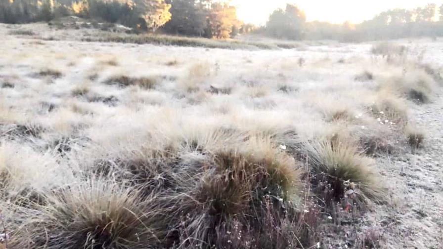 Nueva vez se registran temperaturas bajo cero en Valle Nuevo