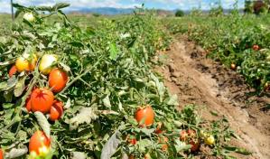 Los sectores con mayor vulnerabilidad laboral ante cambio climático