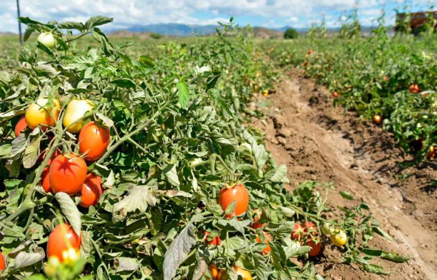 Los sectores con mayor vulnerabilidad laboral ante cambio climático