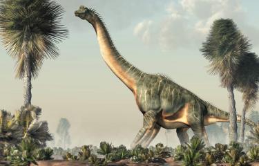 El cambio climático y el ascenso de los dinosaurios - Diario Libre