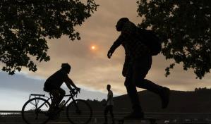 Incendios en Chile dejan dos muertos y 88 casas destruidas