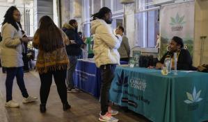 Haber sido condenado por un delito relacionado con cannabis, una de las condiciones para adquirir licencia de venta