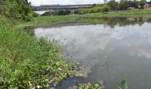 Confirman cuatro nuevos casos de cólera en la Zurza y bacteria que lo causa en río Isabela