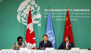 COP15 acuerda proteger al menos 30 % del planeta para preservar biodiversidad