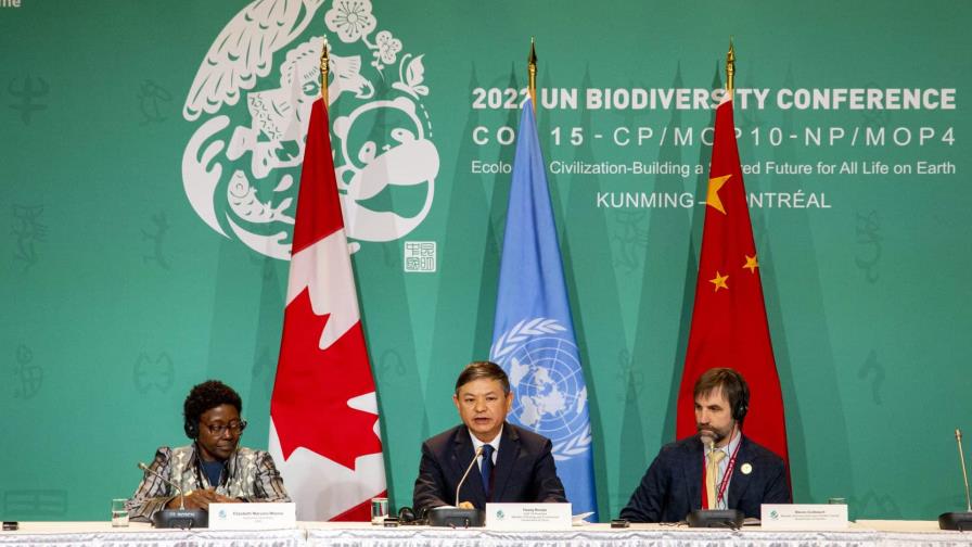 COP15 acuerda proteger al menos 30 % del planeta para preservar biodiversidad