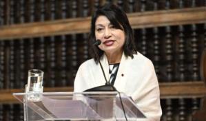 Per&uacute; denuncia injerencia inaceptable de algunos pa&iacute;ses de la regi&oacute;n