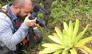 Un biólogo español filma y documenta la rana misteriosa de Panamá