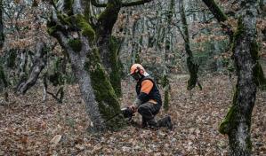 Leñadores griegos se preparan para responder a crisis energética