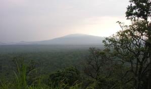 Hombres armados matan a dos guardabosques en parque de la República Democrática del Congo