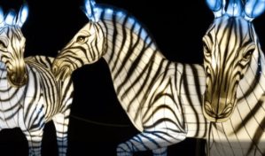 El Zoo del Bronx y su experiencia navideña