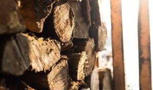 Invierno: negocios indispensables que puedes iniciar en Estados Unidos