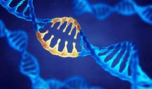 Descubren 100,000 nuevos tipos de virus ARN desconocidos por la ciencia