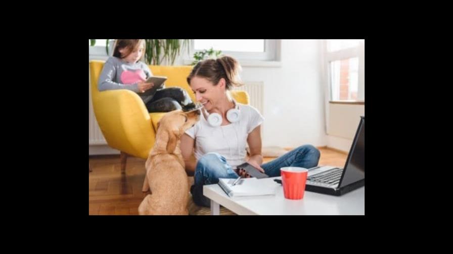 Trabajo remoto ¿a qué se debe su éxito en Latinoamerica? Trabajo remoto ¿a qué se debe su éxito en Latinoamerica?