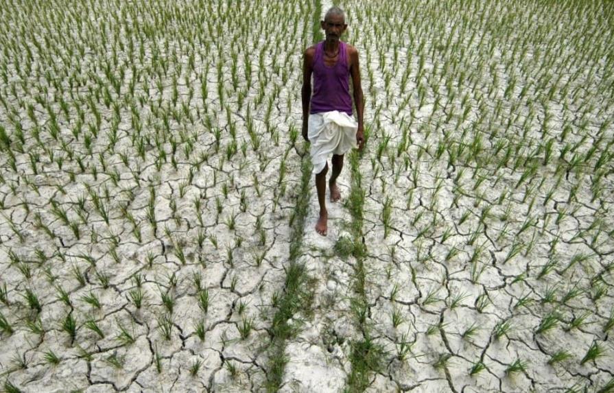 El calor extremo amenaza la seguridad alimentaria de la India en 2023