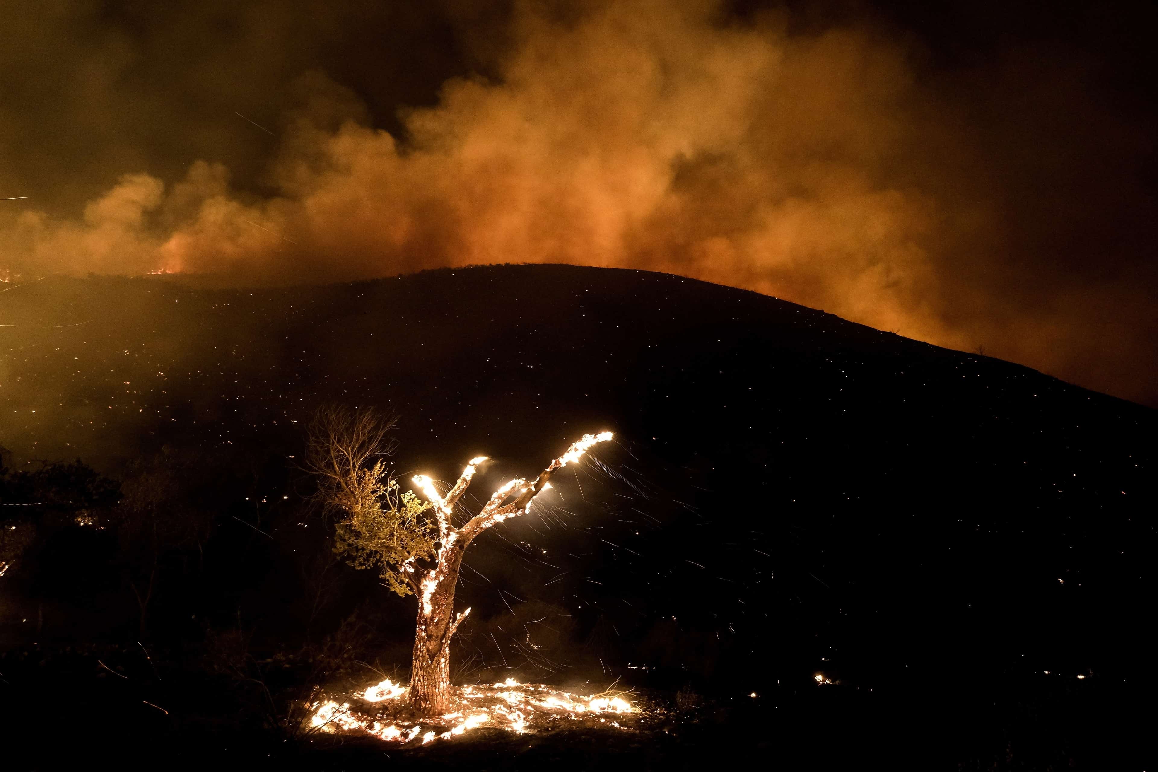 El viento azota las brasas de un árbol en llamas durante un incendio forestal cerca de Hemet, California, el 6 de septiembre de 2022.