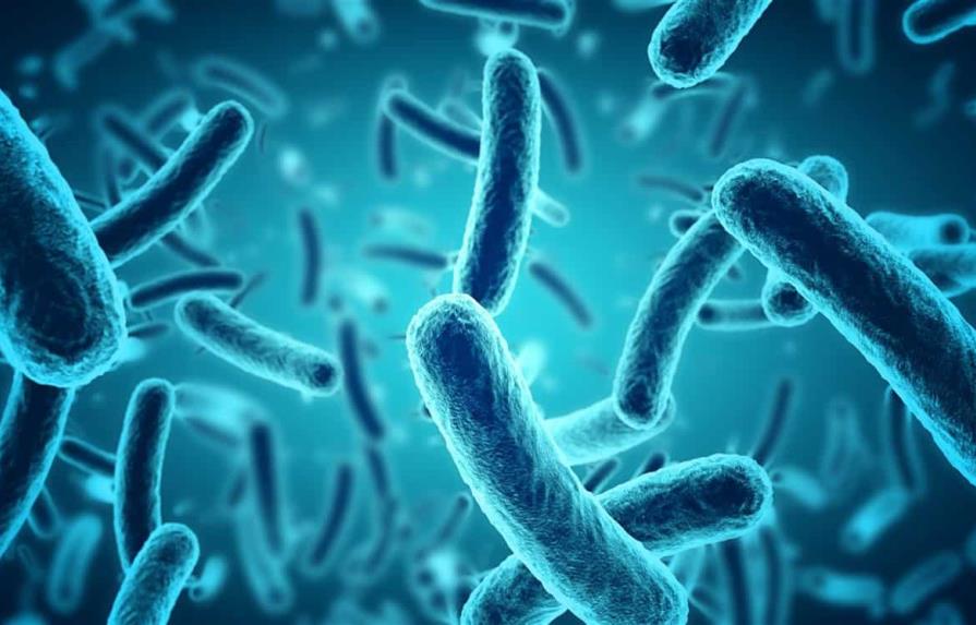 Mecanismo genético en bacterias podría explicar su resistencia a antibióticos