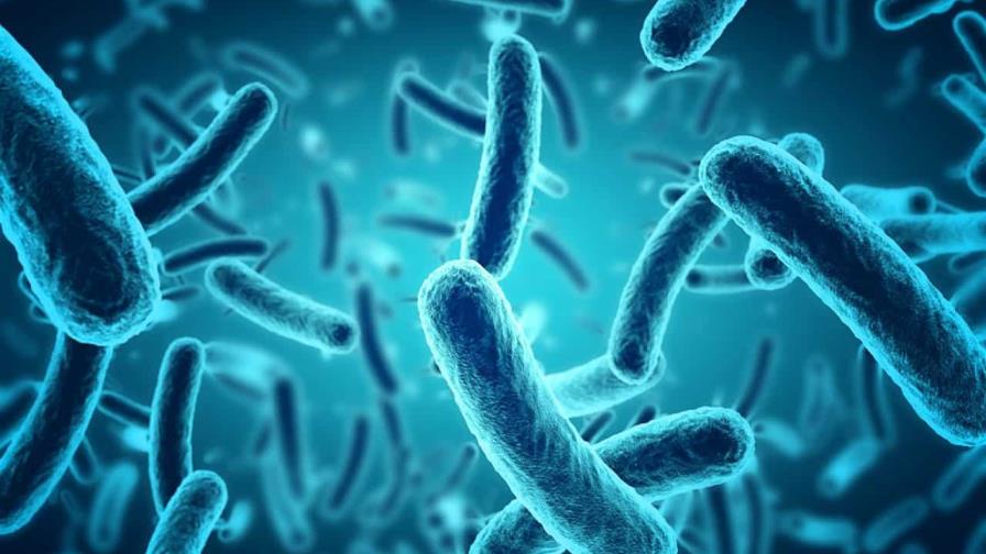 Mecanismo genético en bacterias podría explicar su resistencia a antibióticos