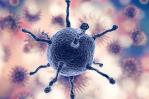 Las gemelas digitales permitirán afinar los tratamientos contra el cáncer Las gemelas digitales permitirán afinar los tratamientos contra el cáncer