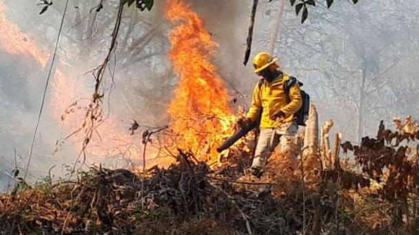 Panamá, con 16,099 incendios forestales en 10 años, lanza campaña preventiva