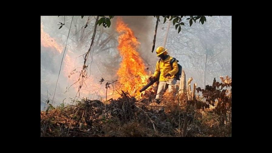 Panamá, con 16,099 incendios forestales en 10 años, lanza campaña preventiva