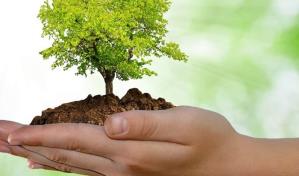 Las fechas medioambientales más relevantes para el año 2023