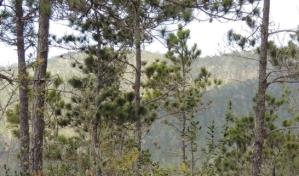 Medio Ambiente: Cerca de dos millones de turistas realizaron actividades ecoturísticas en 2022