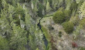 Todos los guardaparques recibirán un aumento salarial del 50 % en enero