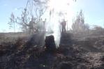 Se registra incendio en comunidades cercanas a área protegida de Montecristi