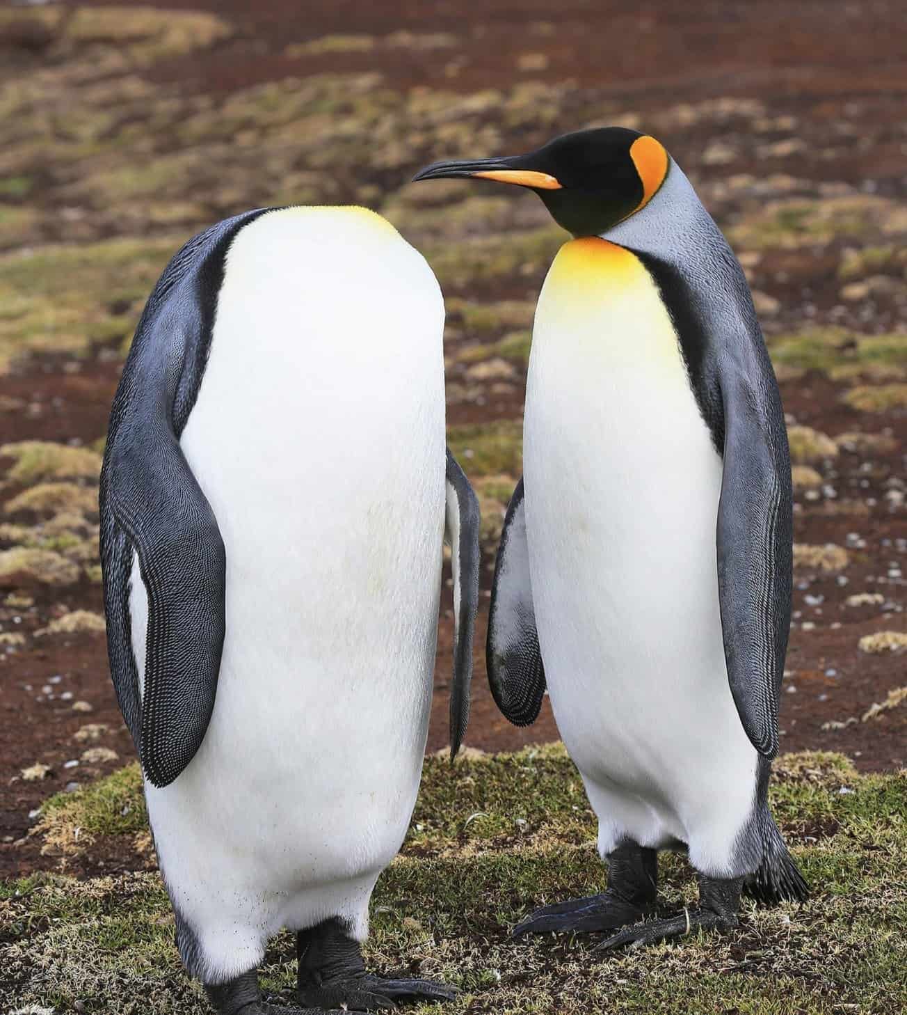 Mantén la calma y la cabeza, de Martin Grace. 