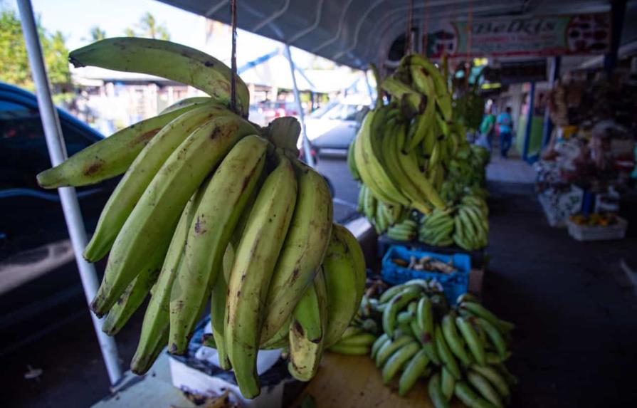 Los colmados y supermercados venden plátanos entre 25 y 35 pesos