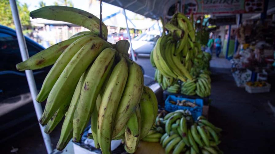 Los colmados y supermercados venden plátanos entre 25 y 35 pesos