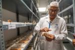 Investigadores hallan en RD fósiles que serían de una especie de mono solo registrado en Haití Investigadores hallan en RD fósiles que serían de una especie de mono solo registrado en Haití