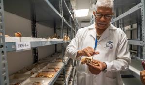 Investigadores hallan en RD fósiles que serían de una especie de mono solo registrado en Haití