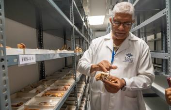 Investigadores hallan en RD fósiles que serían de una especie de mono solo registrado en Haití