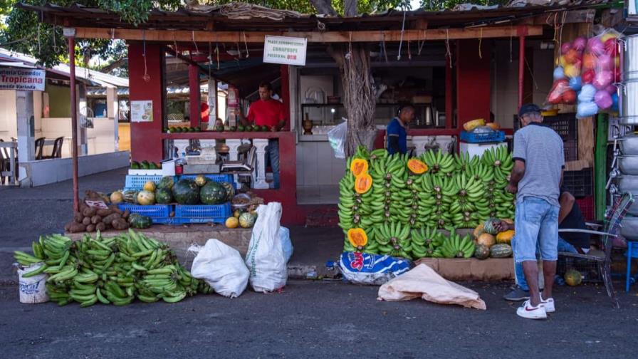 Guineos verdes, entre alternativas de consumidores ante altos precios del plátano