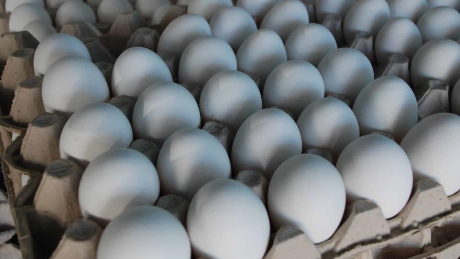 El Gobierno dominicano prohíbe por 15 días la exportación de huevos hacia Haití El Gobierno dominicano prohíbe por 15 días la exportación de huevos hacia Haití