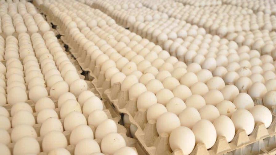 Asohuevos pide revocar la resolución que prohíbe exportar huevos a Haití por 15 días