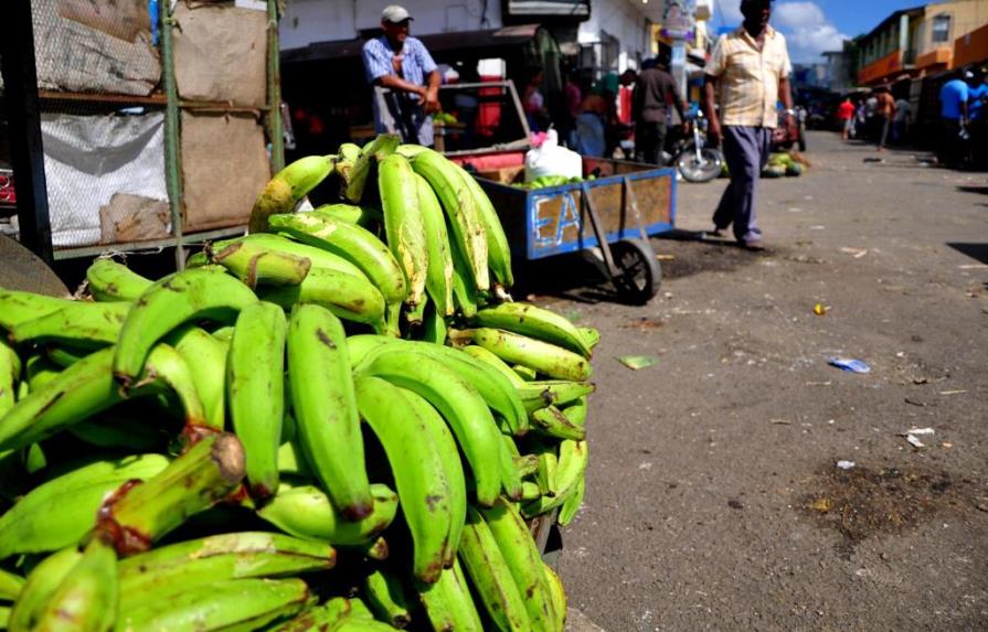 Productores advierten precio del plátano seguirá elevado por varios meses 